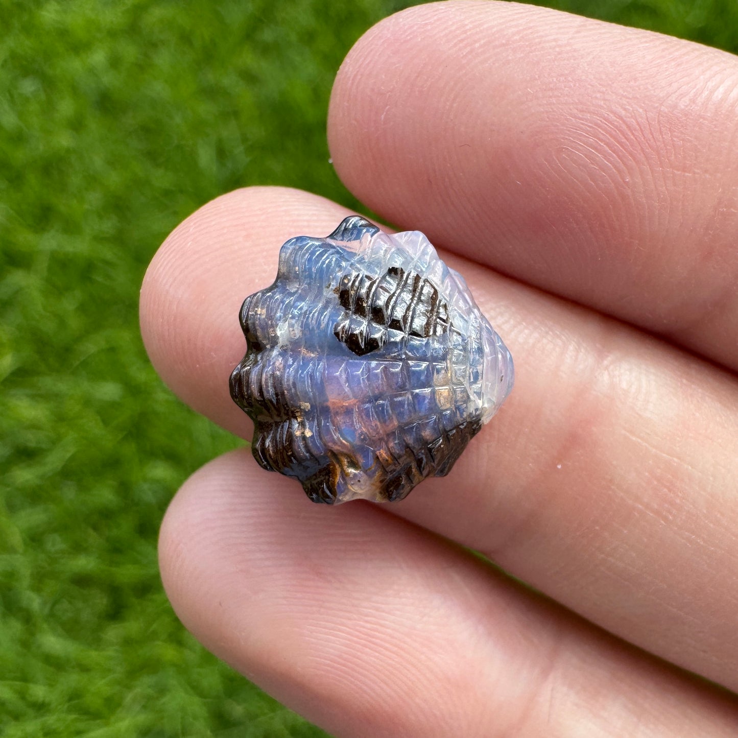 5.35 Ct fan shell boulder opal carving