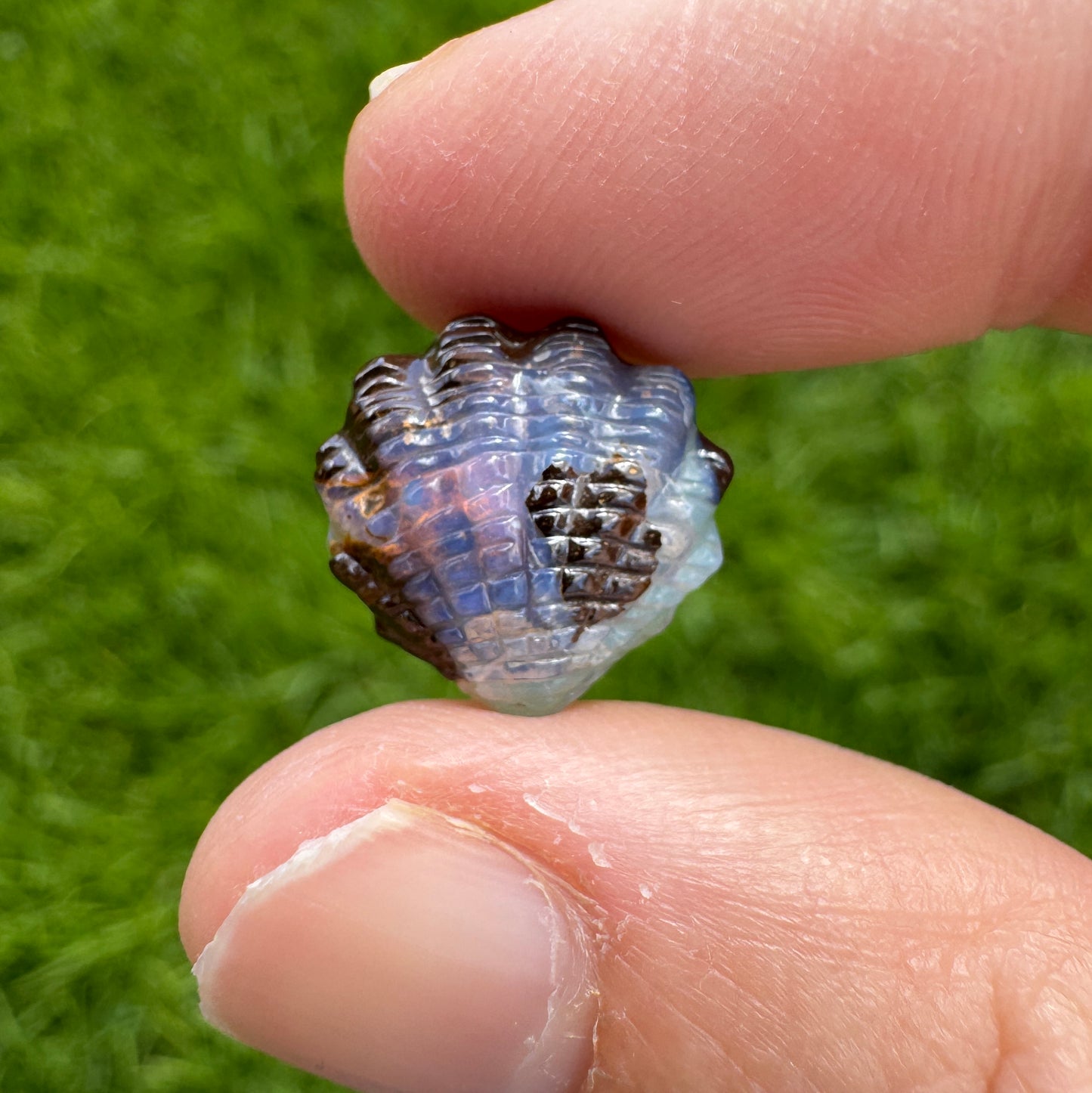 5.35 Ct fan shell boulder opal carving