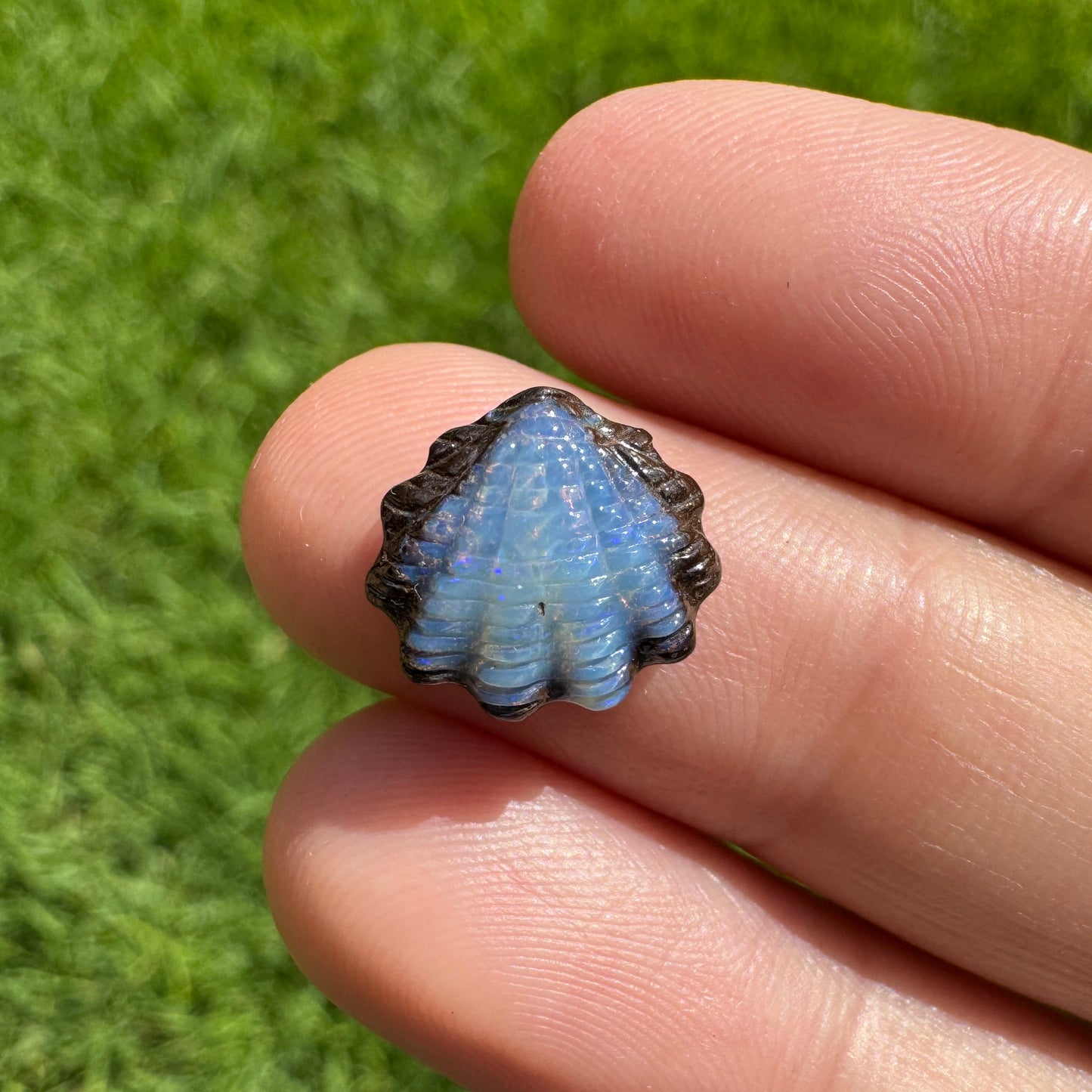 4.24 Ct small fan shell boulder opal