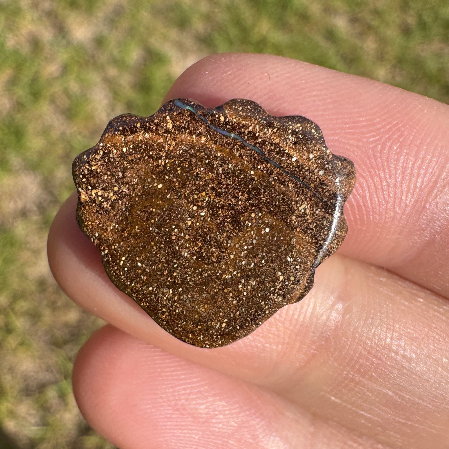 12.93 Ct shell boulder opal carving