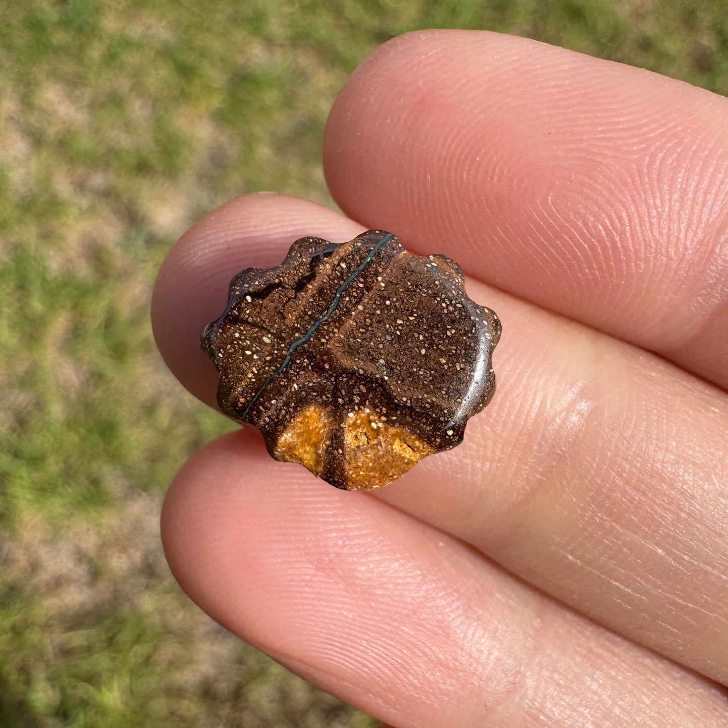 5.52 Ct shell boulder opal carving
