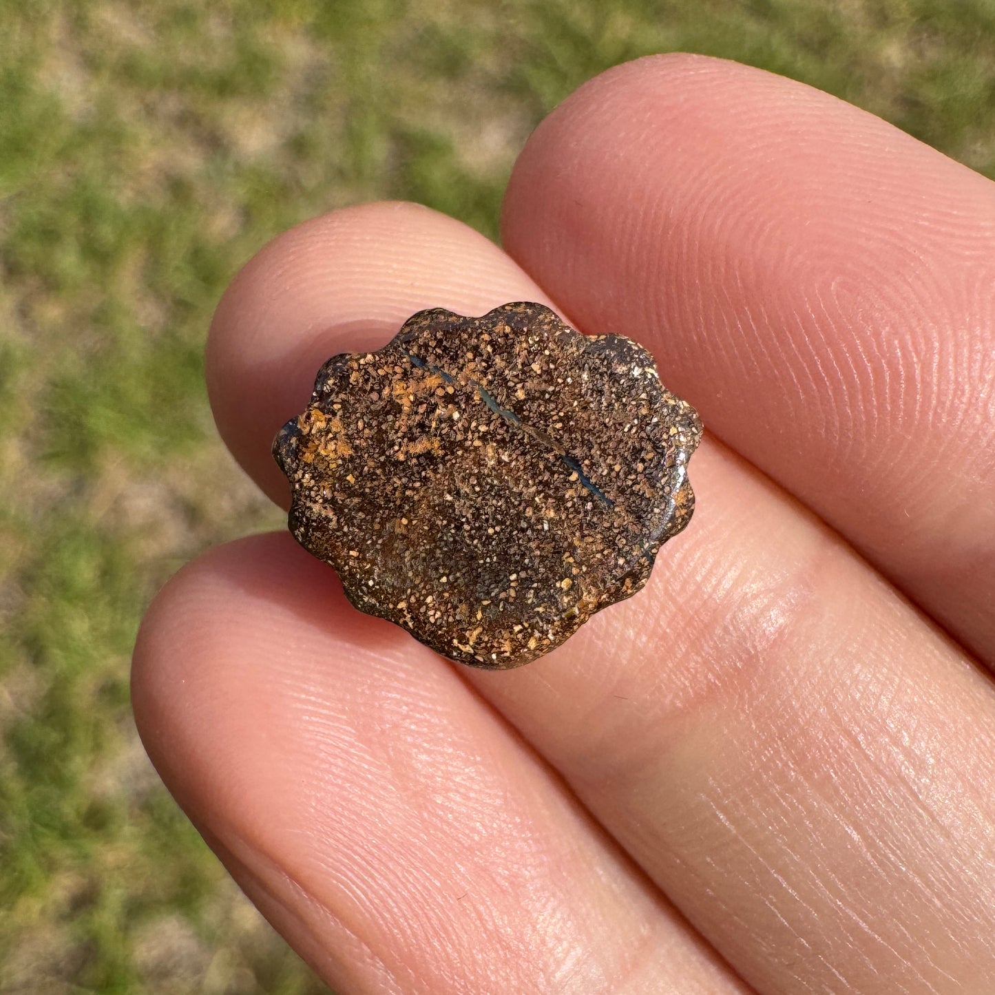 4.75 Ct shell boulder opal carving