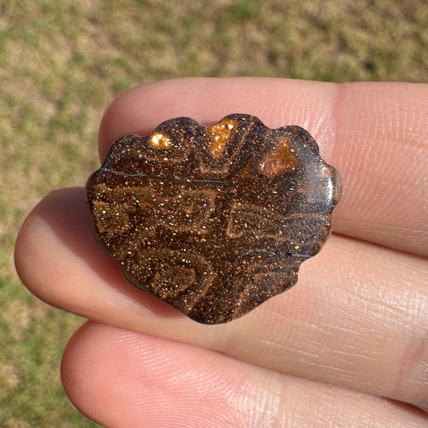 16.97 Ct shell boulder opal carving