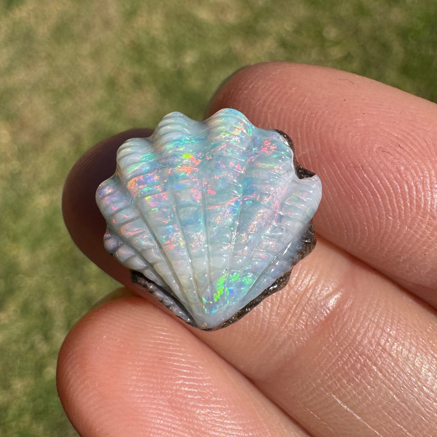10.14 Ct shell boulder opal carving