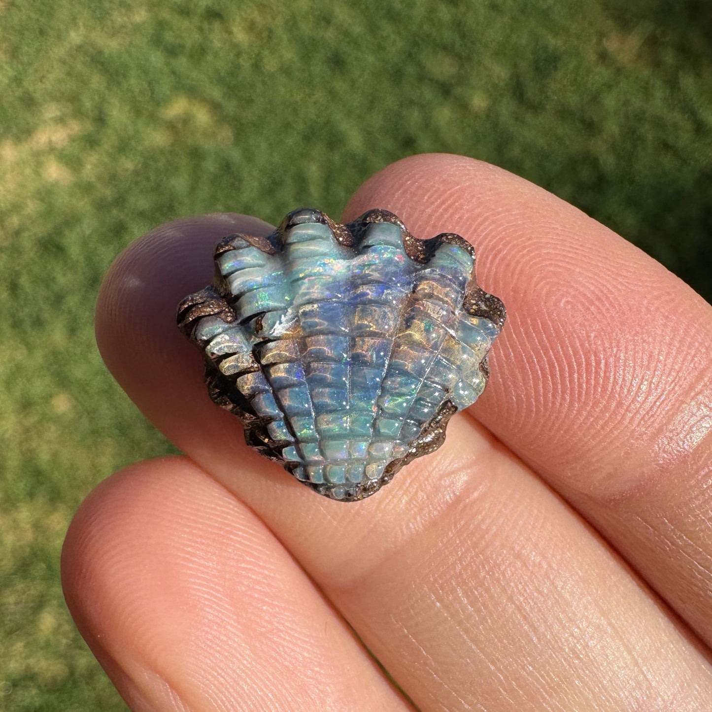 8.25 Ct small fan shell boulder opal carving