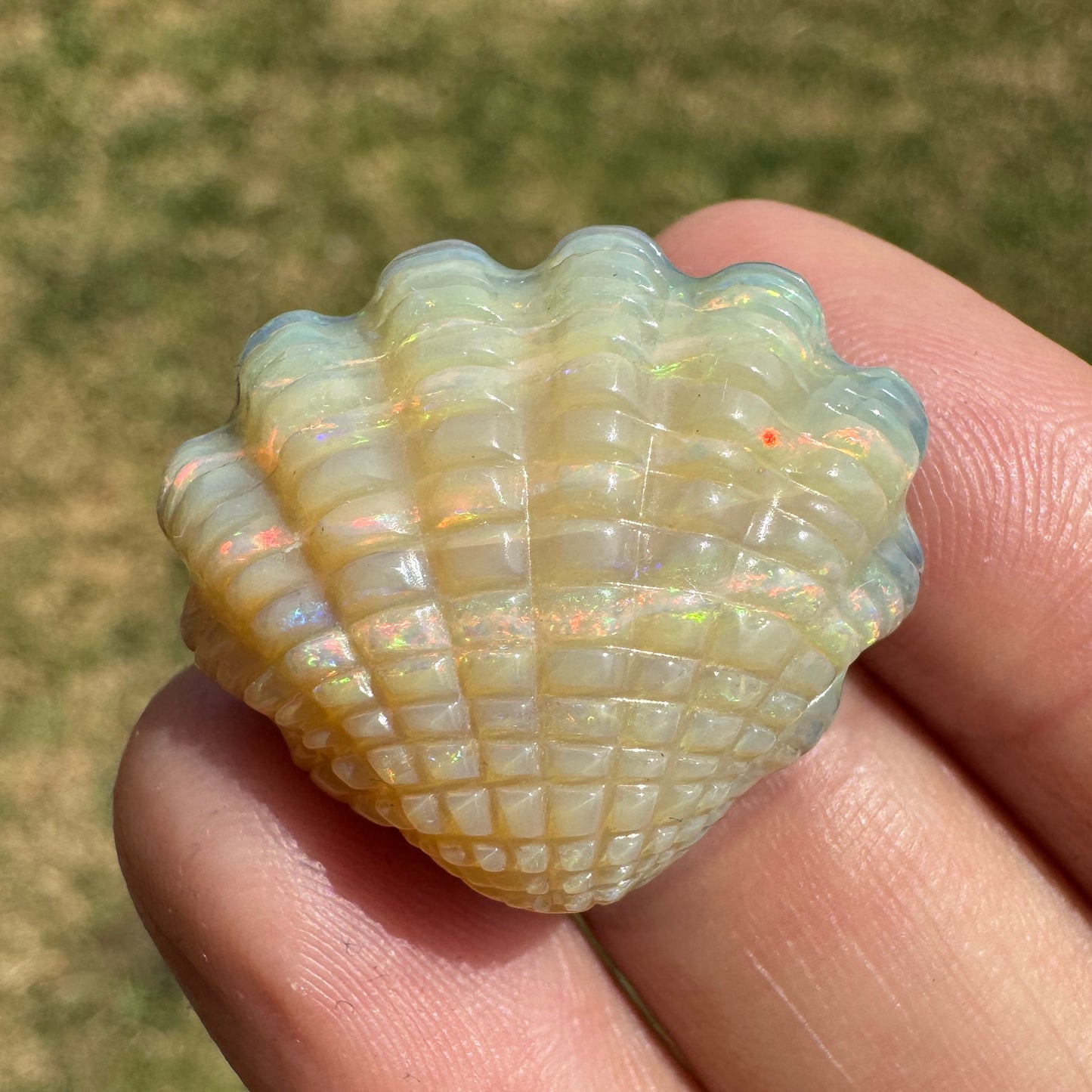 29.70 Ct fan shell boulder opal carving