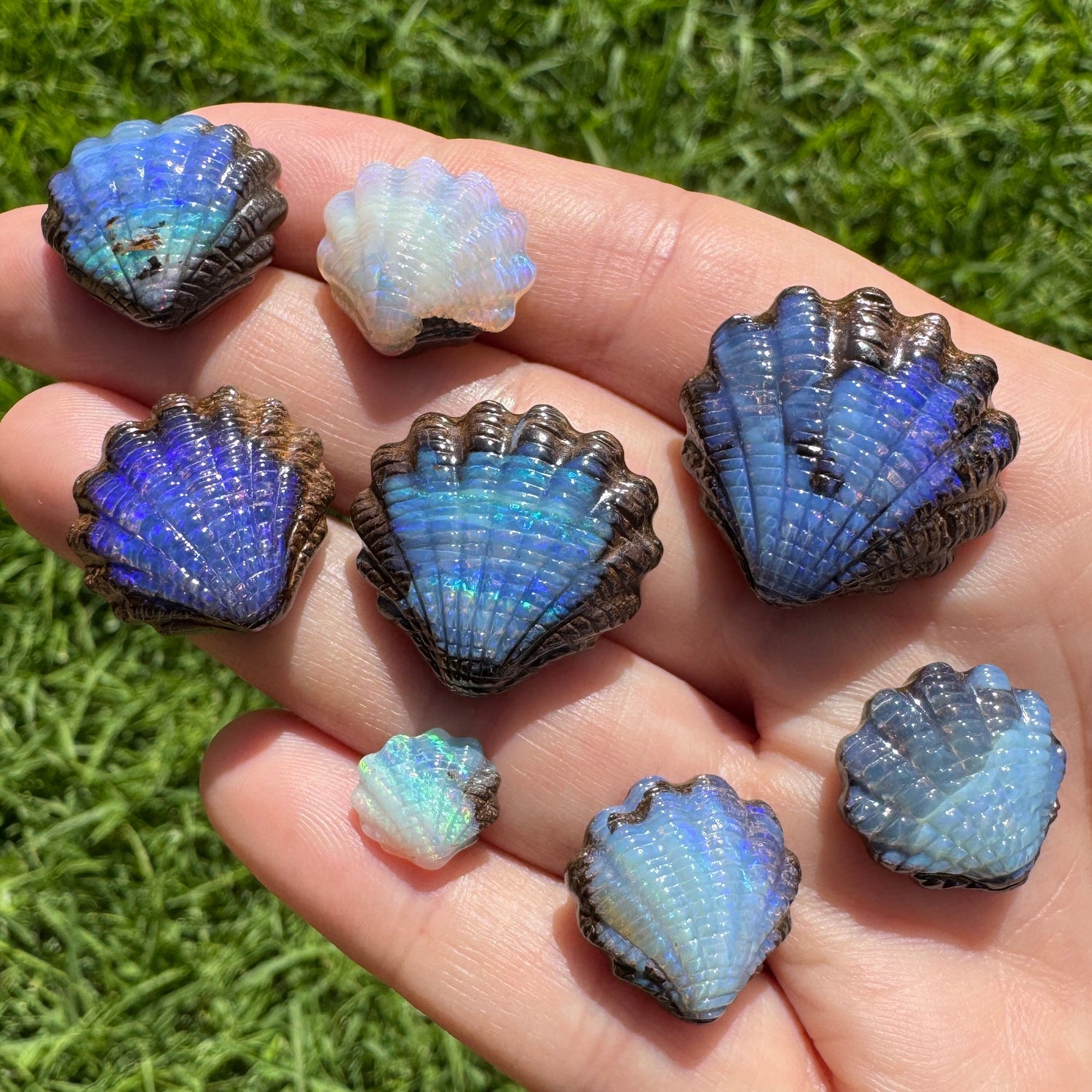 Fan shell opal carvings