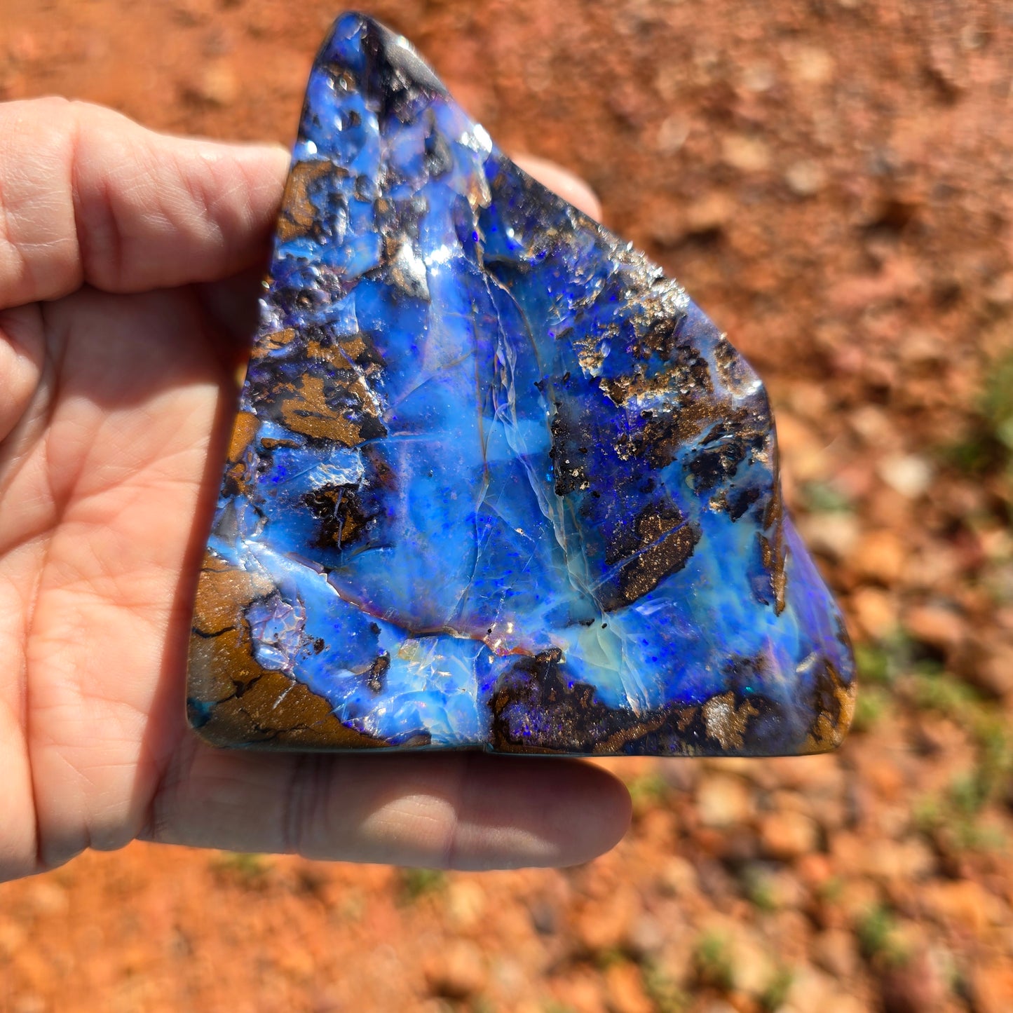 2469g Australian Boulder Opal Specimen
