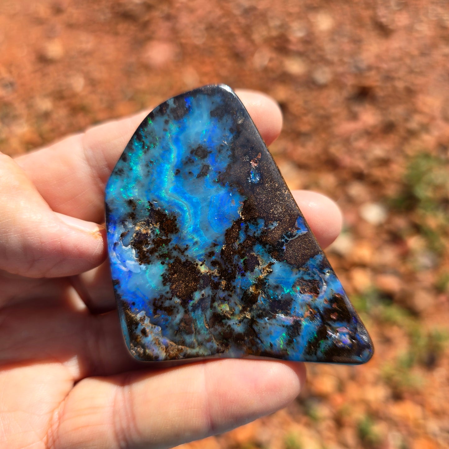 95 g Australian Boulder Opal Specimen