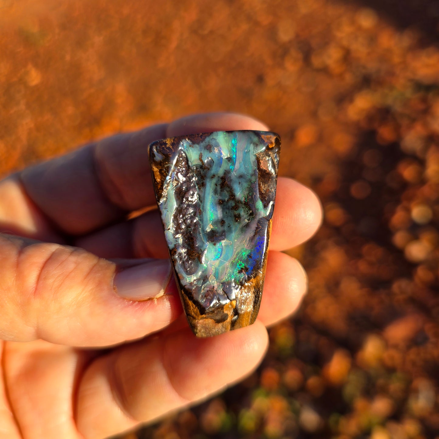 27.5 g Australian Boulder Opal Specimen