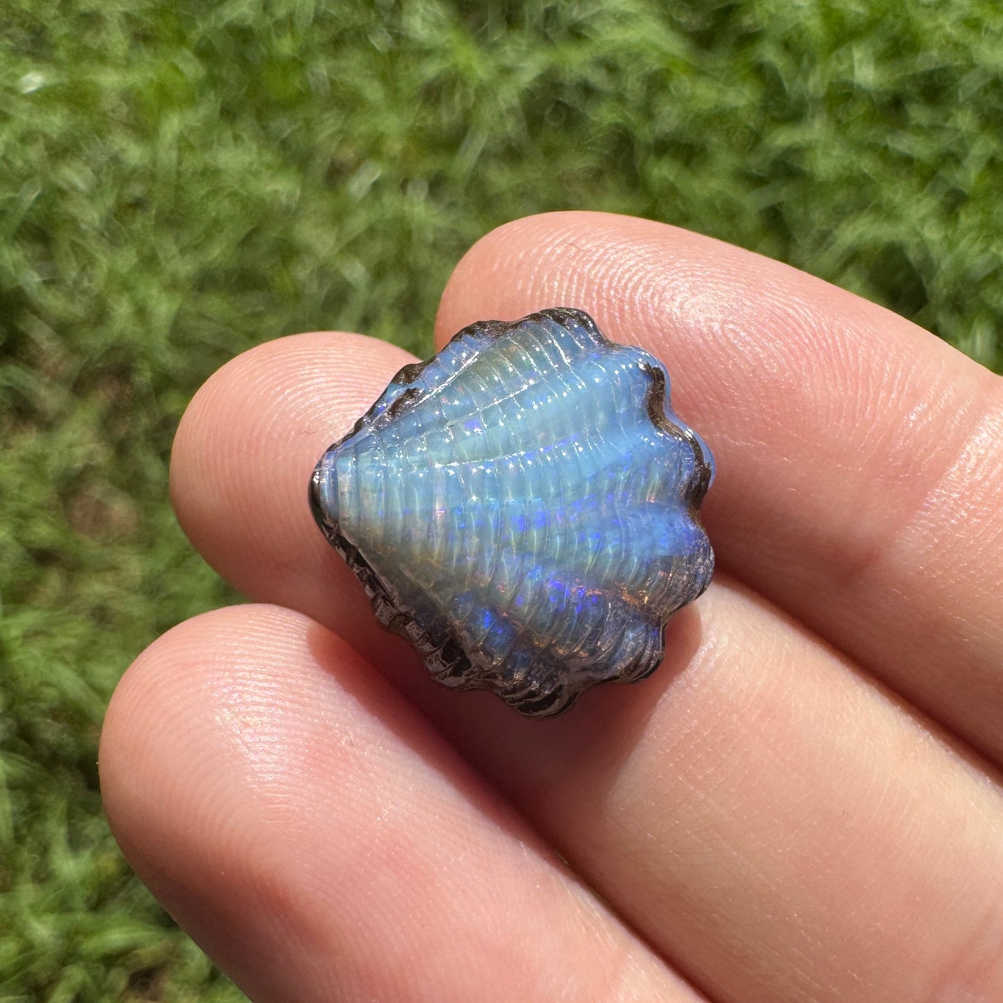 11.00 Ct fan shell boulder opal carving