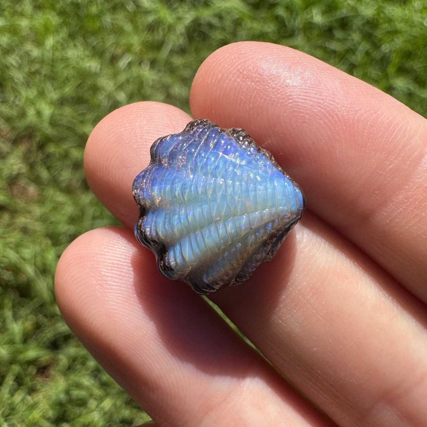 11.00 Ct fan shell boulder opal carving