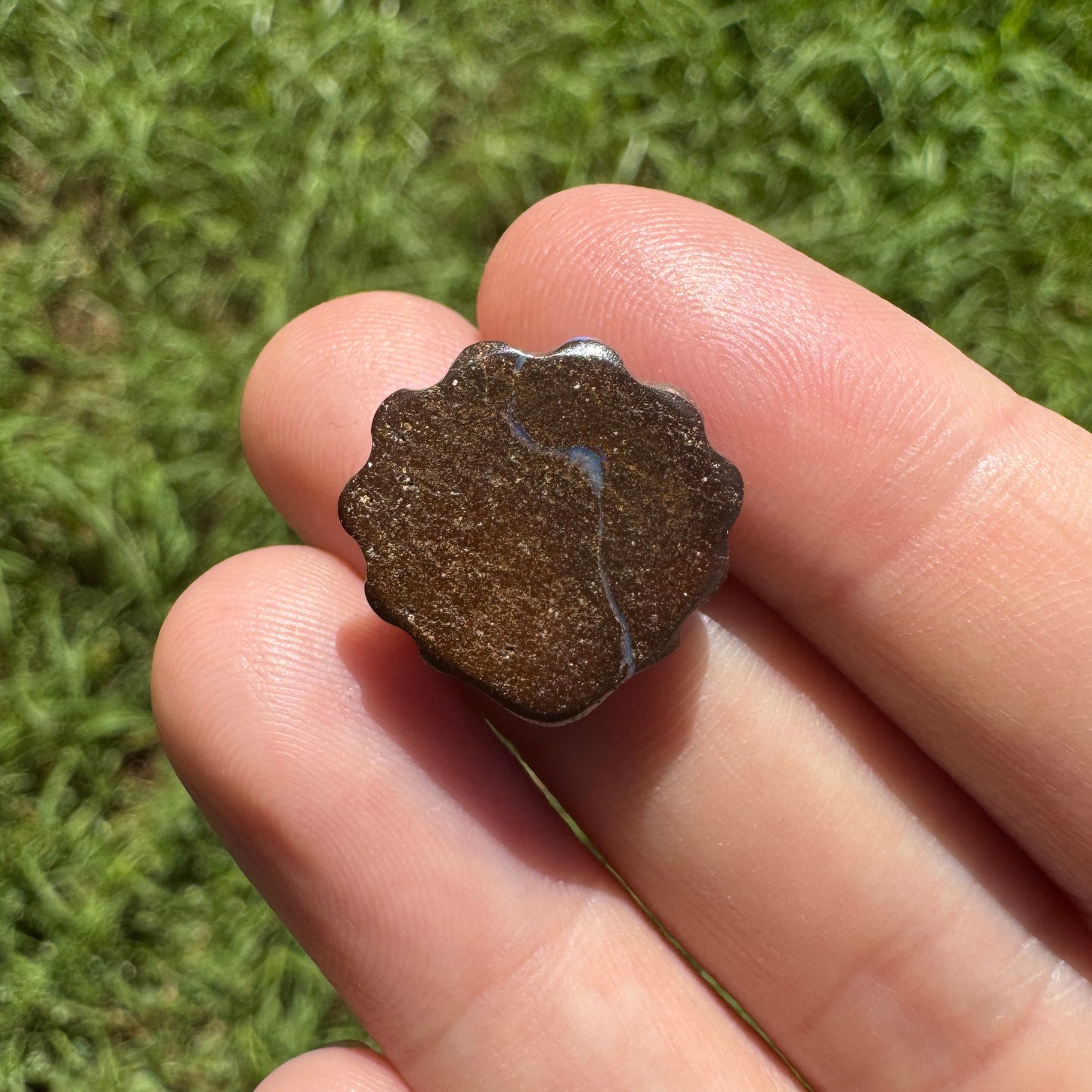 11.00 Ct fan shell boulder opal carving