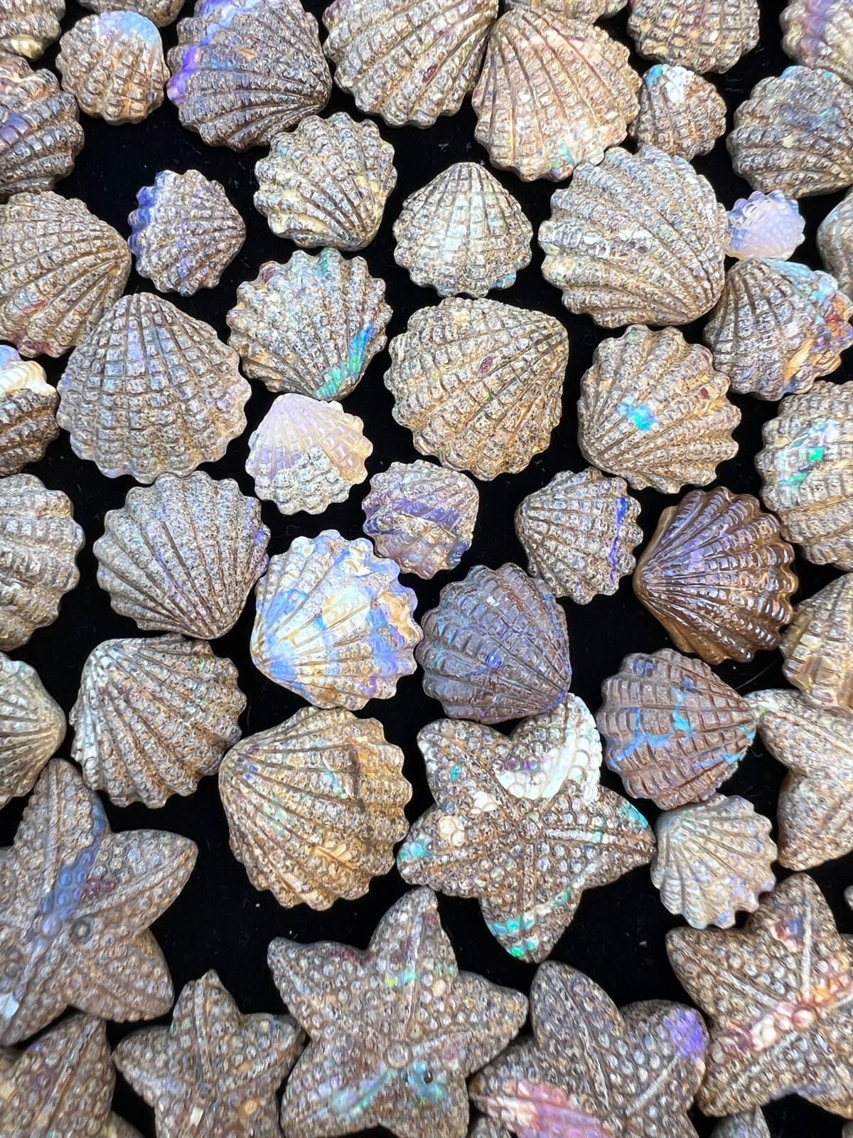 Exquisite 9.28 Ct Australian Boulder Opal Matrix Scallop Shell Carving