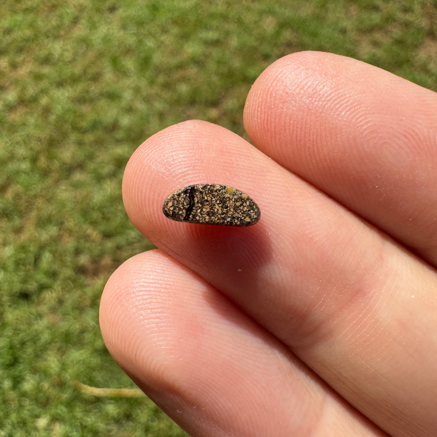 0.55 Ct extra small boulder opal