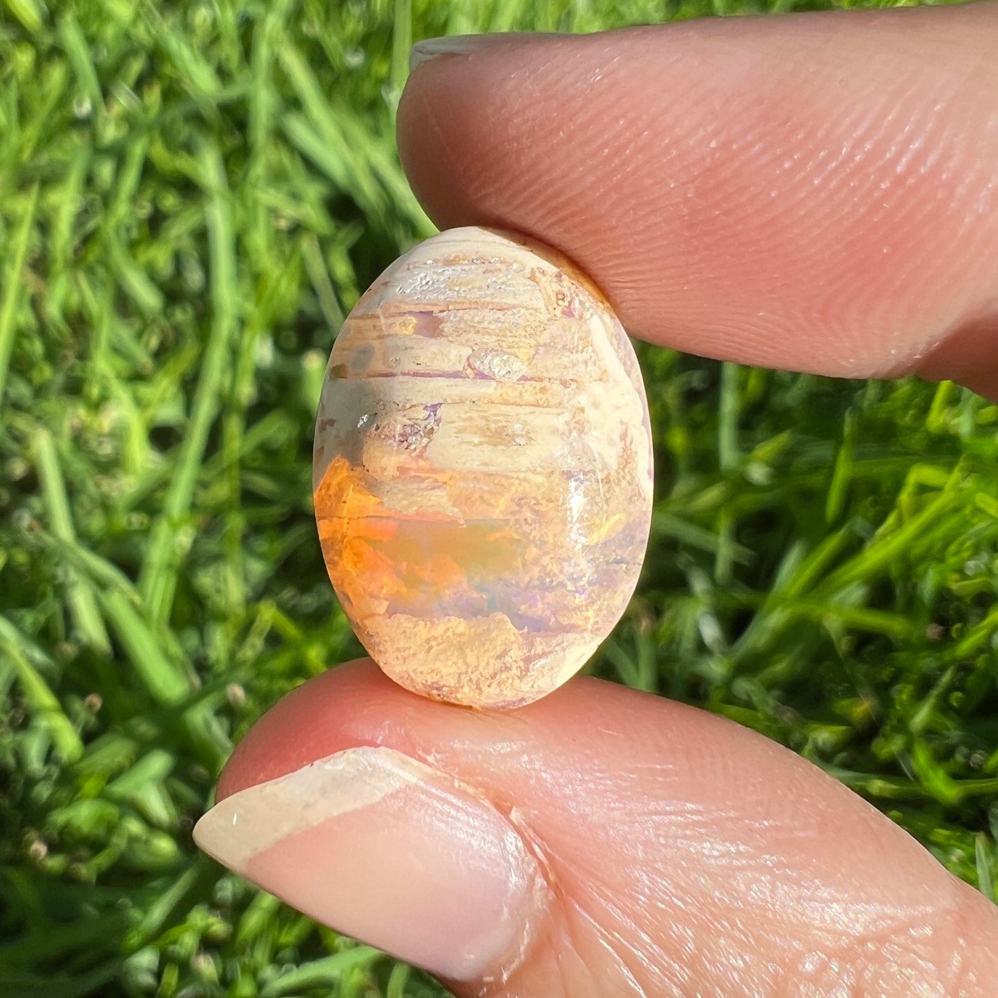 7.87 Ct 3D Wood replacement opal