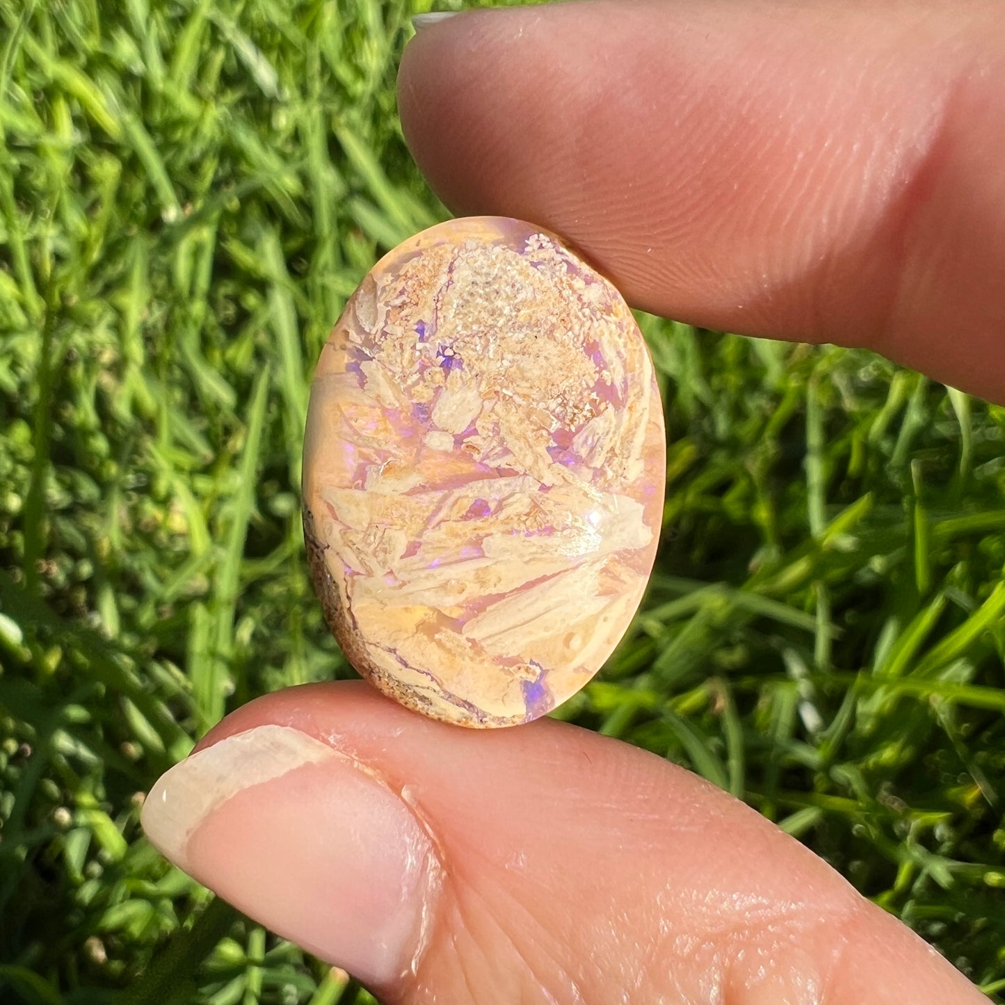 11.71 Ct 3D Wood replacement opal