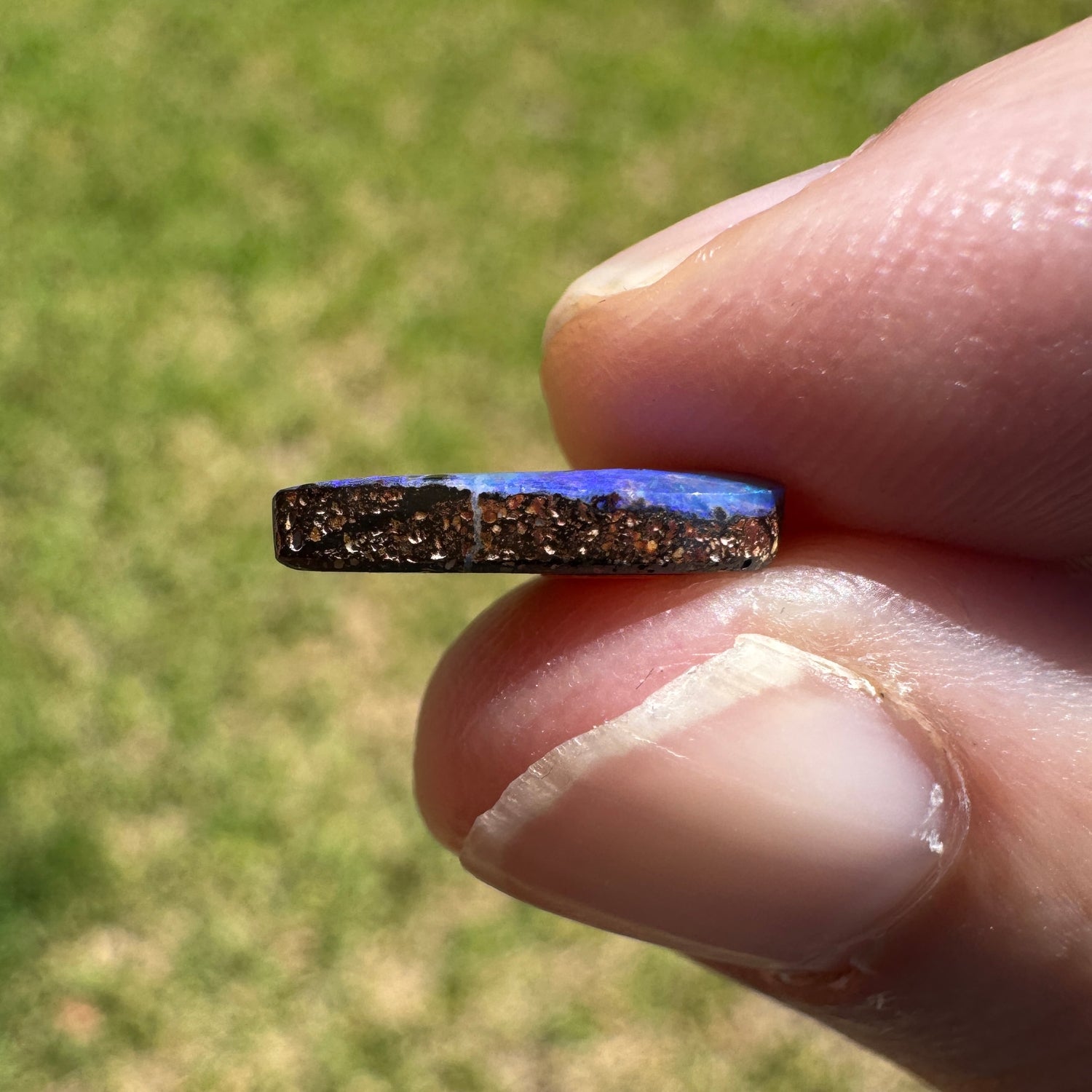 1.61 Ct small boulder opal - Broken River Mining
