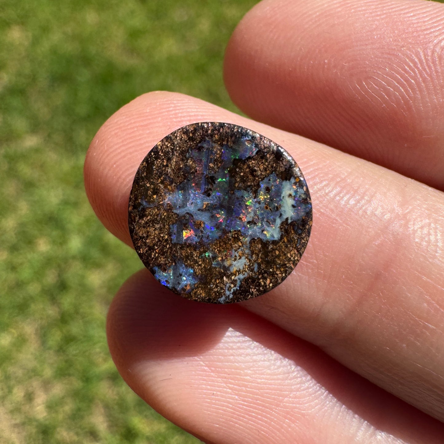 3.00 Ct small boulder opal - Broken River Mining