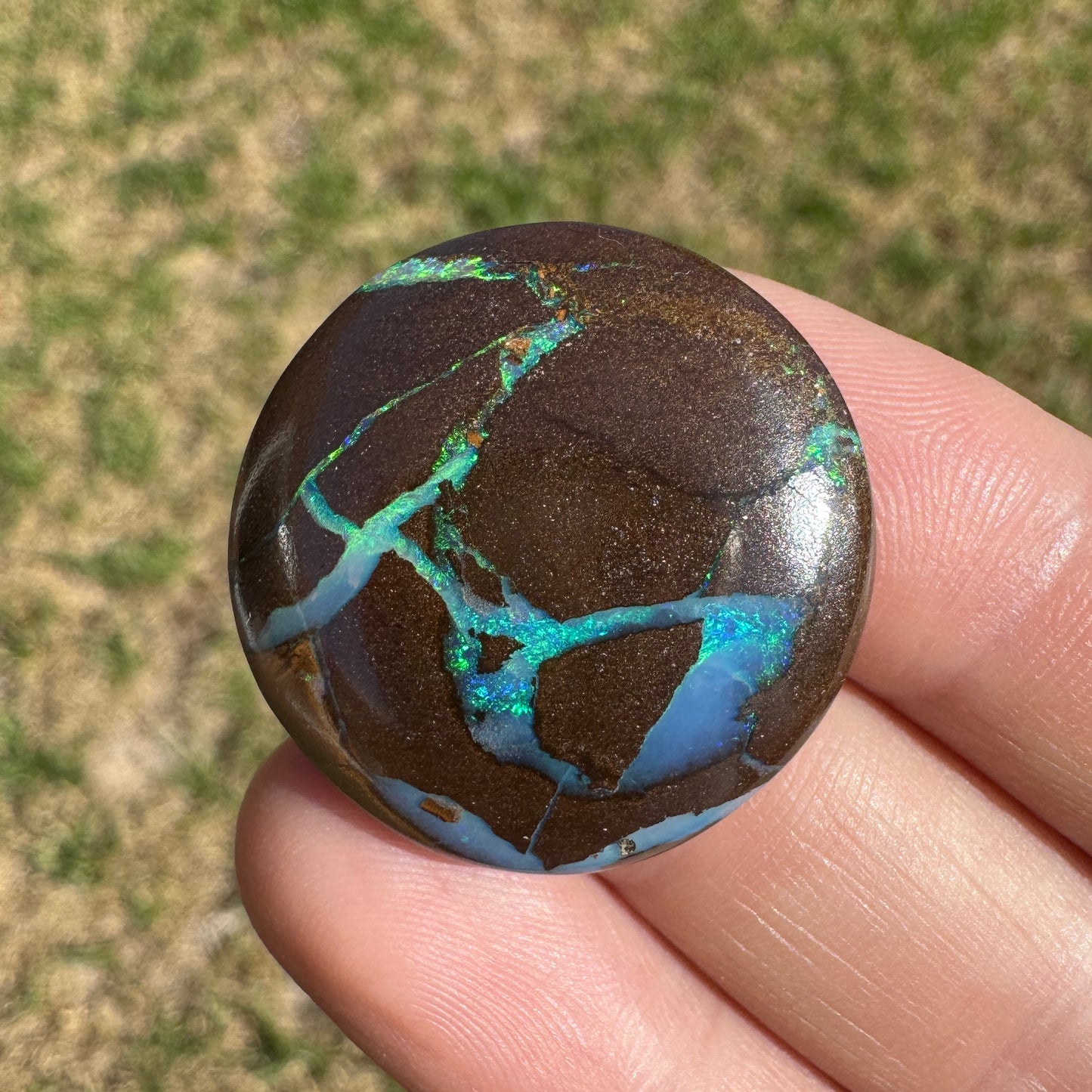 29.91 Ct large matrix boulder opal - Broken River Mining