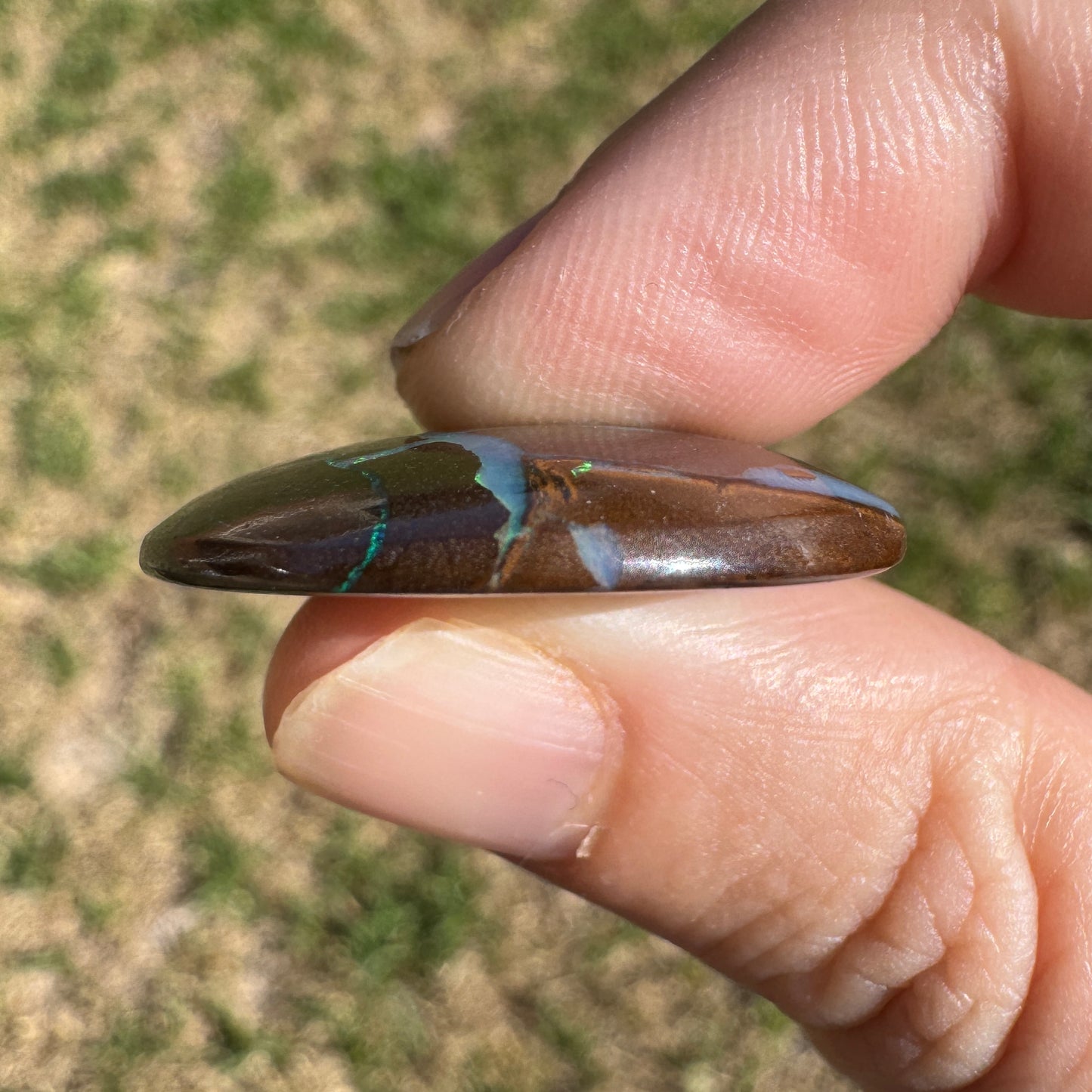 29.91 Ct large matrix boulder opal - Broken River Mining