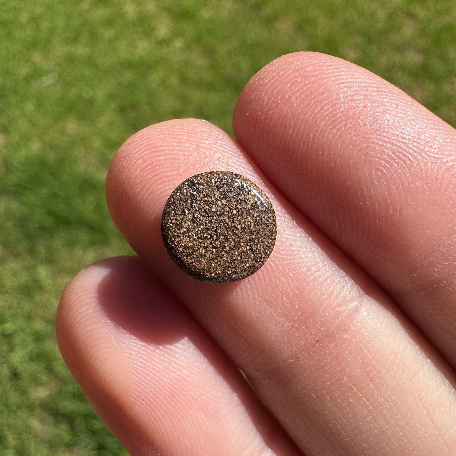 2.10 Ct small boulder opal - Broken River Mining