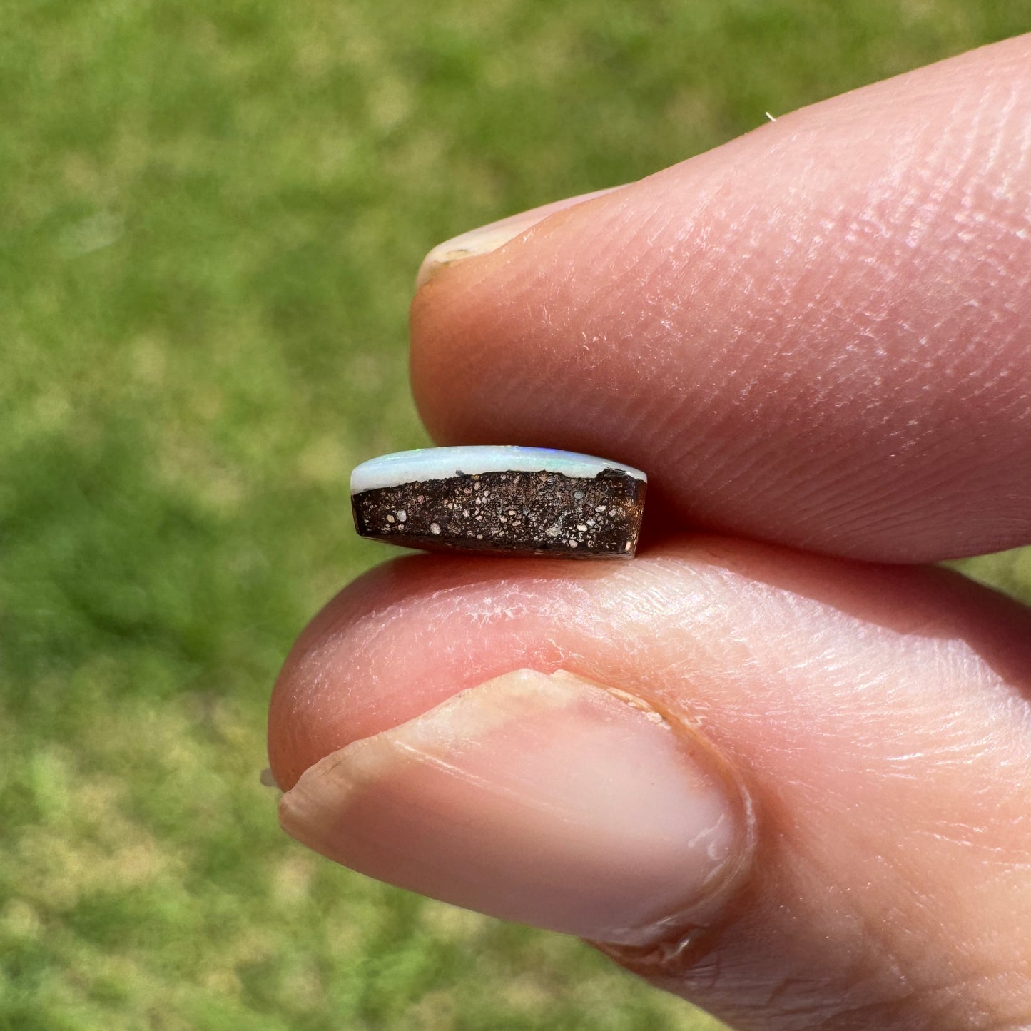 1.66 Ct small boulder opal - Broken River Mining