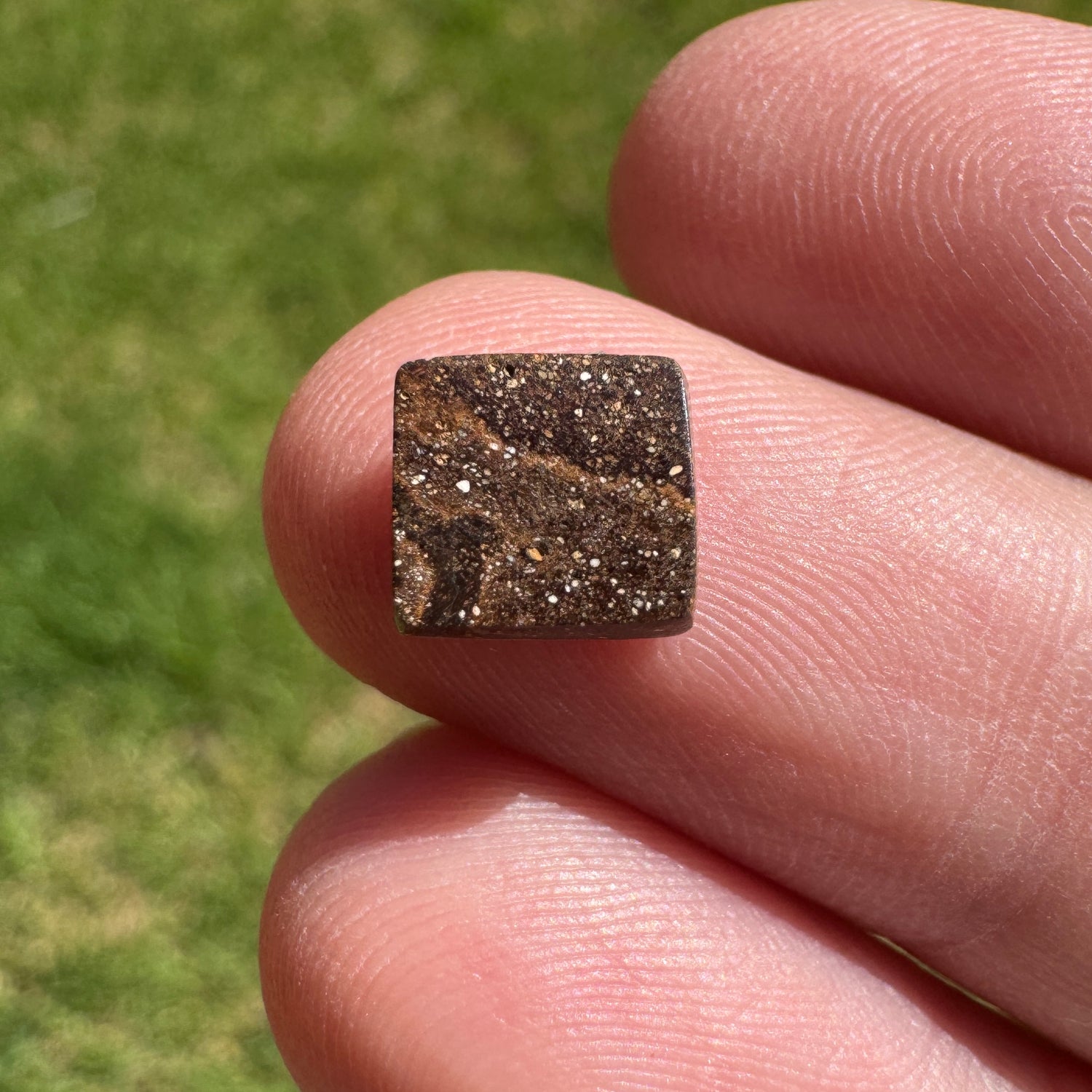 1.66 Ct small boulder opal - Broken River Mining