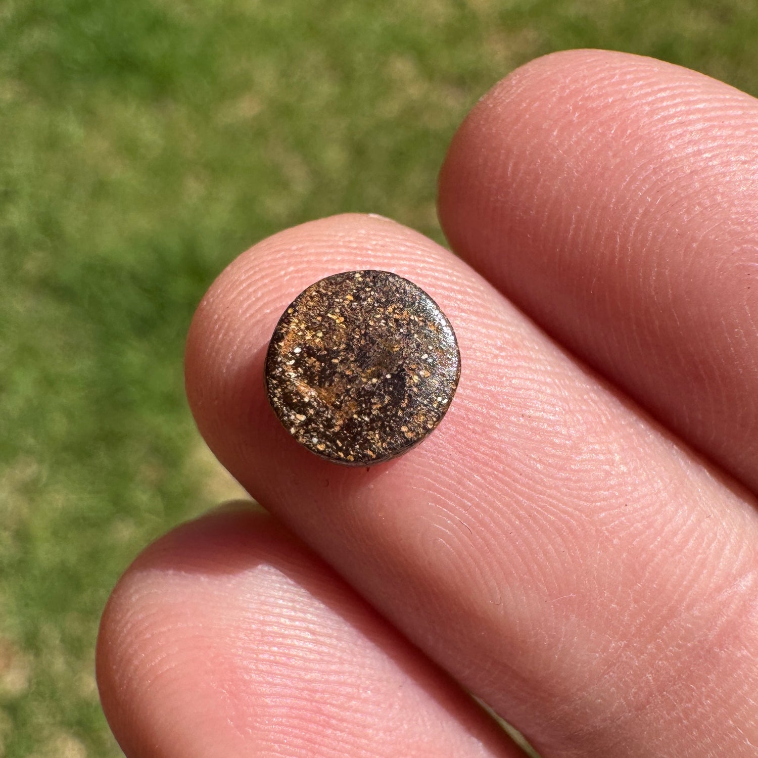 1.32 Ct small boulder opal - Broken River Mining