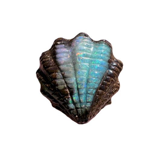 7.15 Ct fan shell boulder opal carving