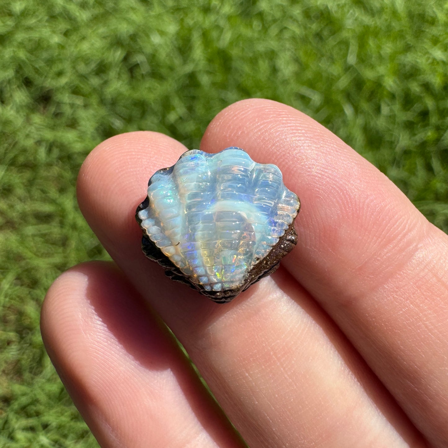 8.88 Ct fan shell boulder opal carving