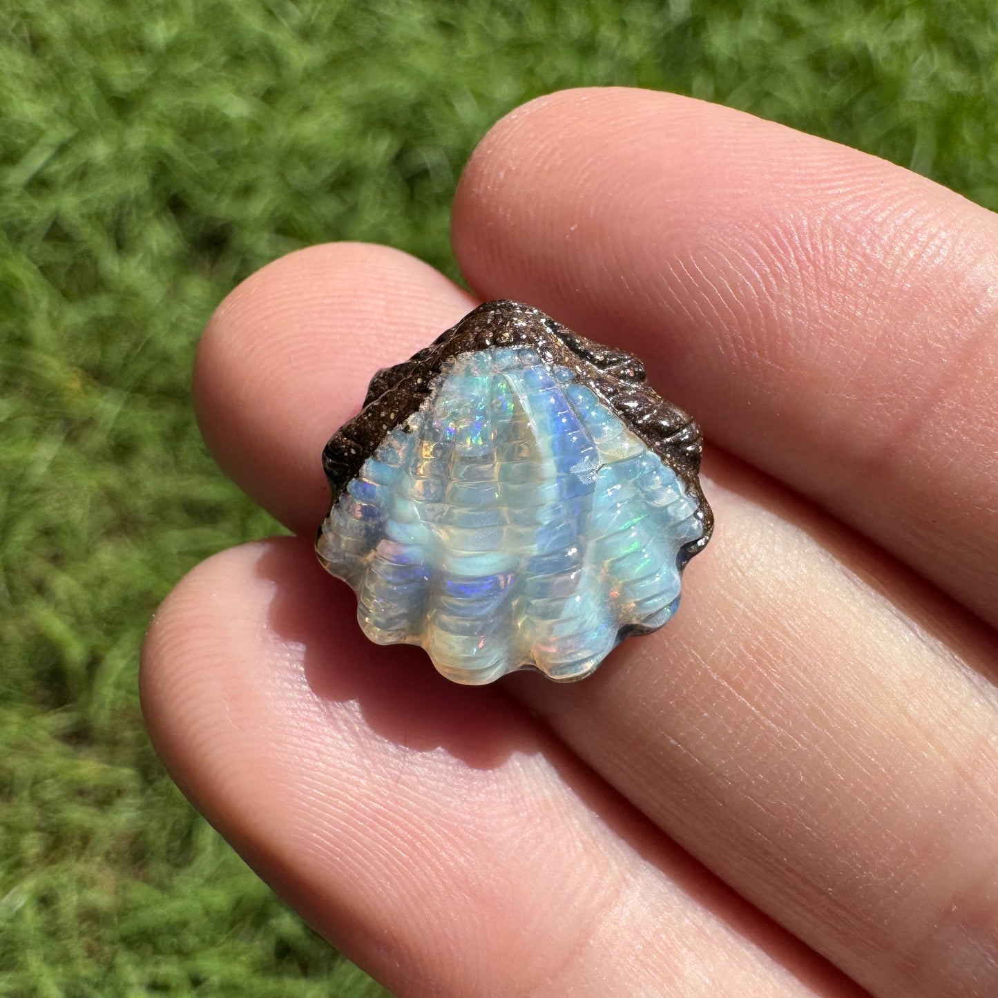 8.88 Ct fan shell boulder opal carving