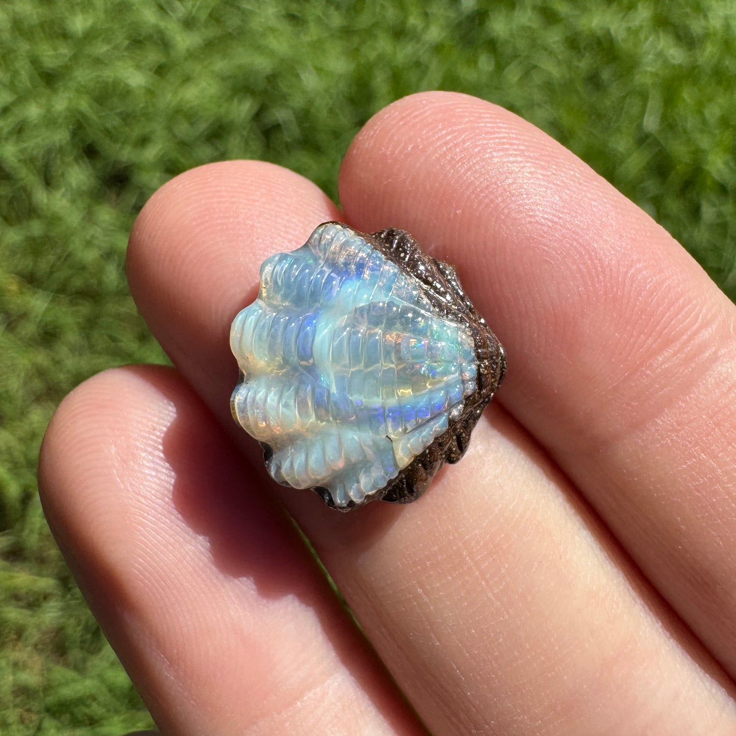 8.88 Ct fan shell boulder opal carving