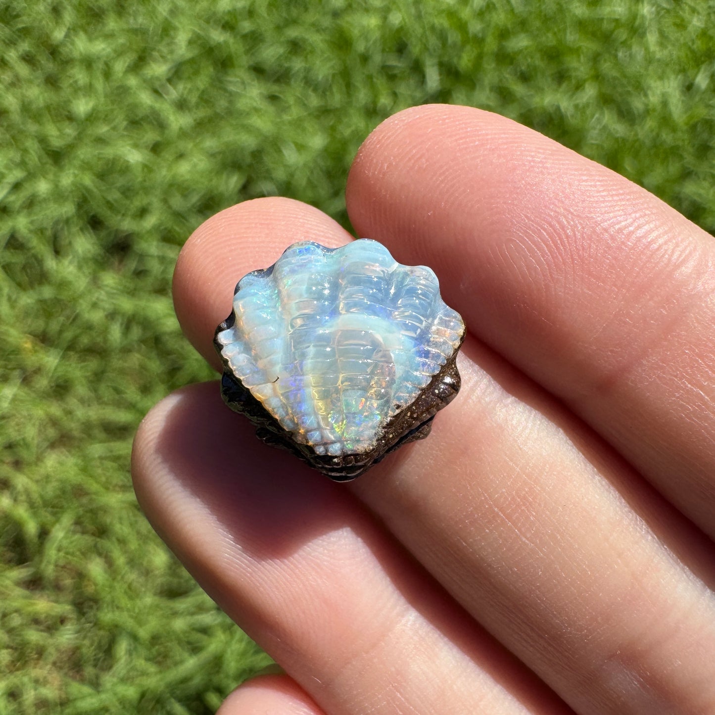 8.88 Ct fan shell boulder opal carving