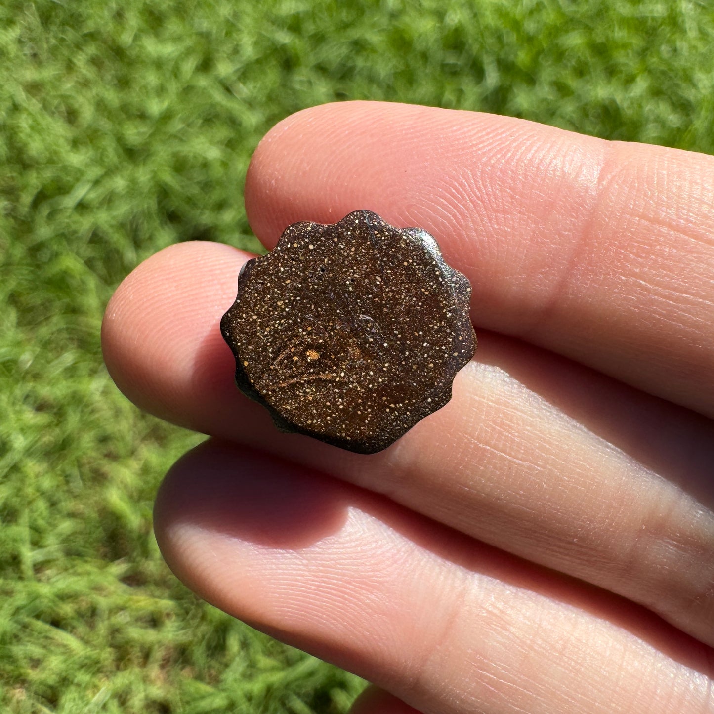 8.88 Ct fan shell boulder opal carving