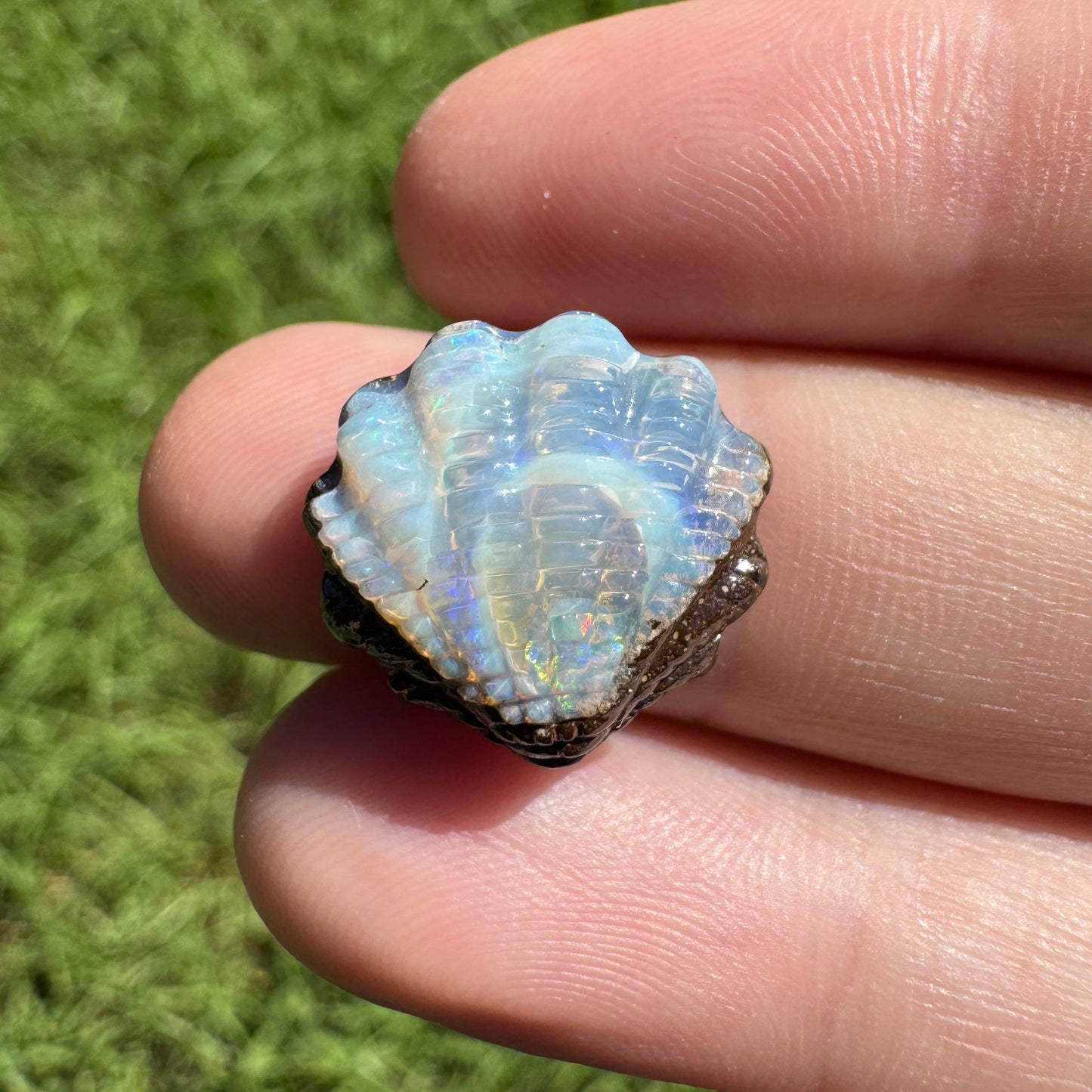 8.88 Ct fan shell boulder opal carving