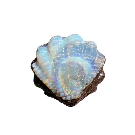 8.88 Ct fan shell boulder opal carving