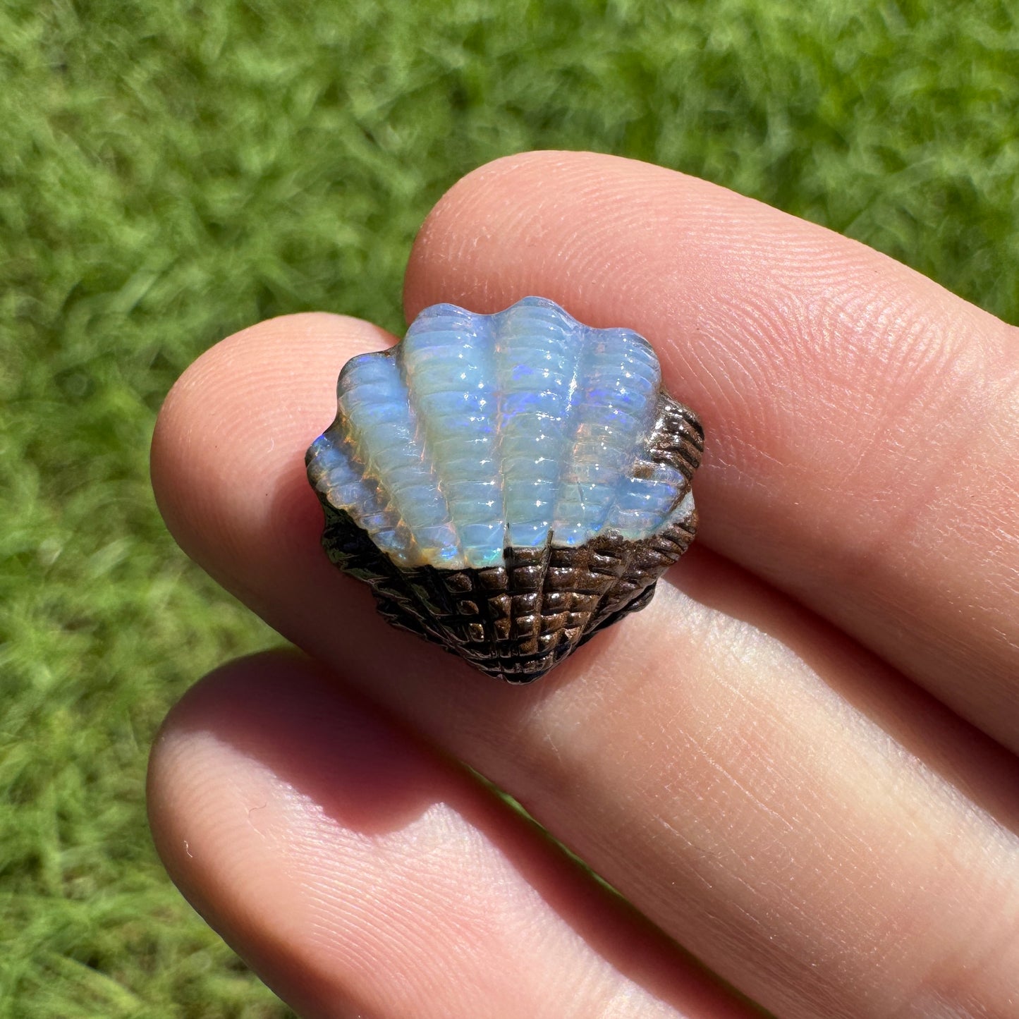 8.43 Ct fan shell boulder opal carving