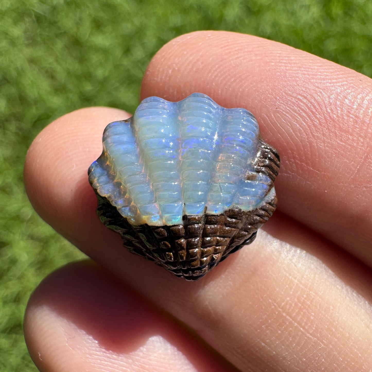 8.43 Ct fan shell boulder opal carving