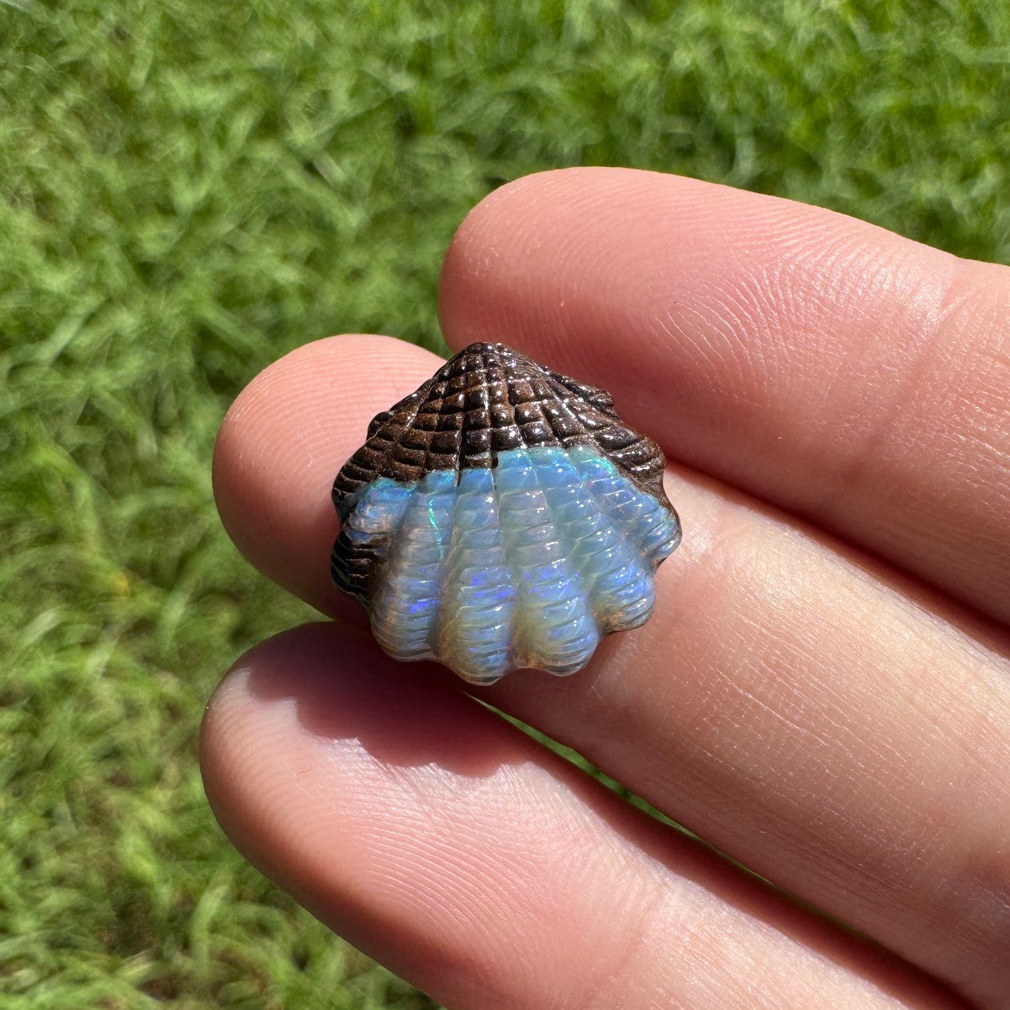 8.43 Ct fan shell boulder opal carving