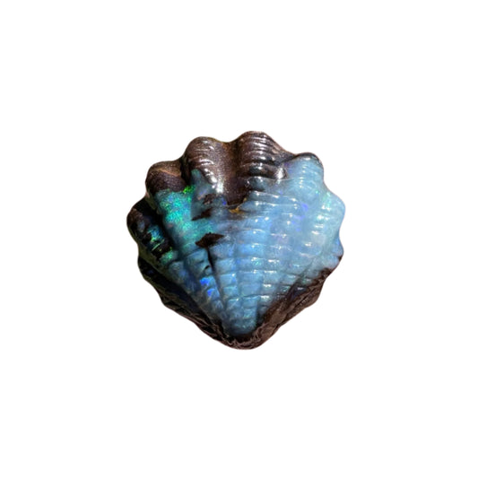 8.24 Ct fan shell boulder opal carving