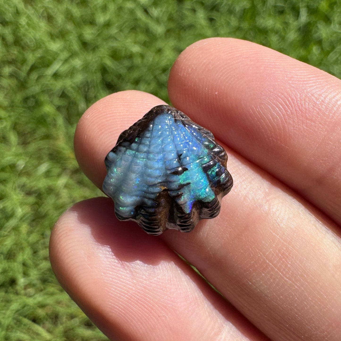 8.24 Ct fan shell boulder opal carving