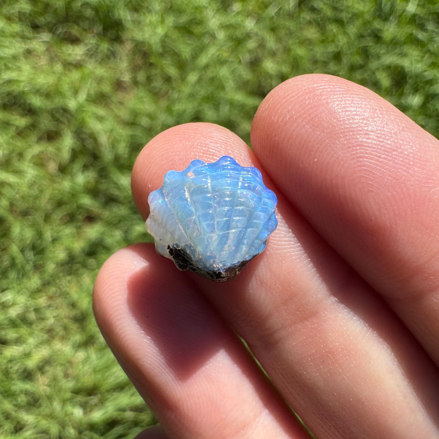 4.14 Ct small fan shell boulder opal carving