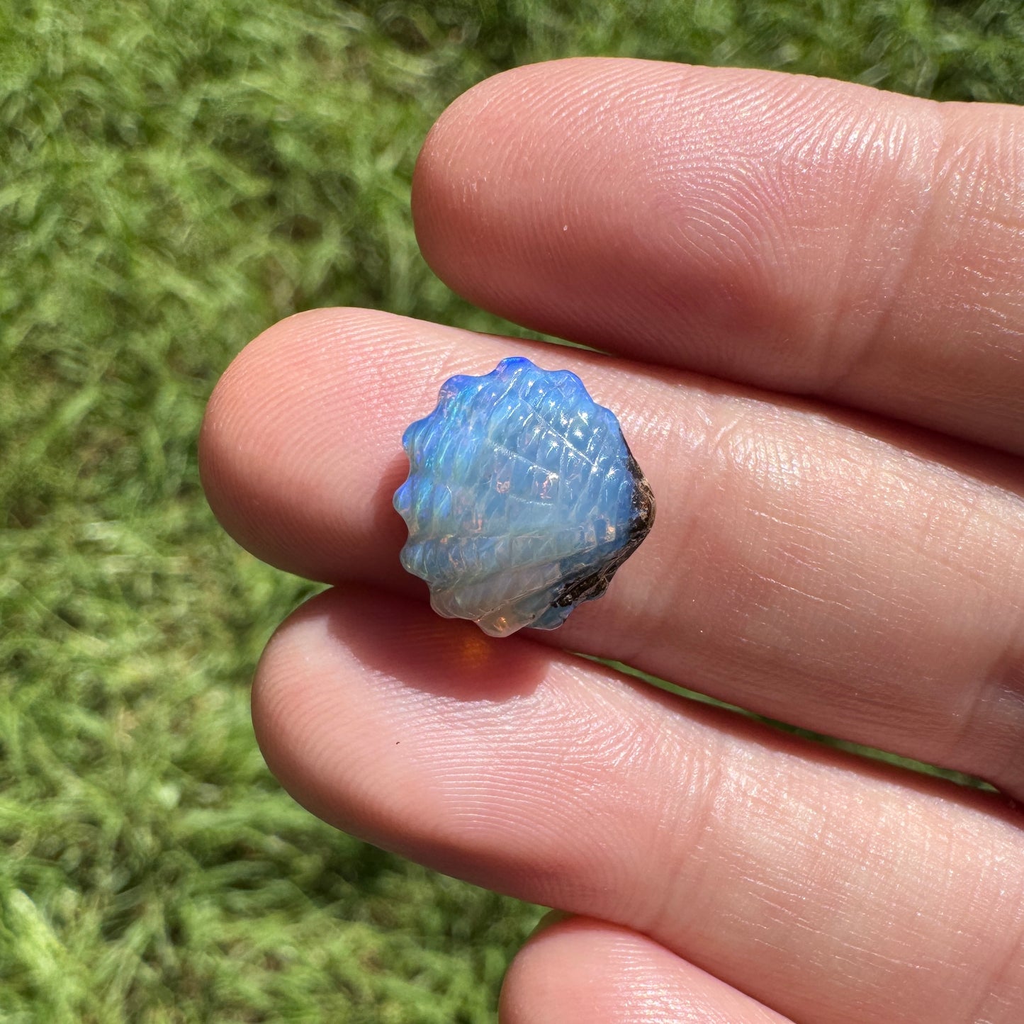 4.14 Ct small fan shell boulder opal carving