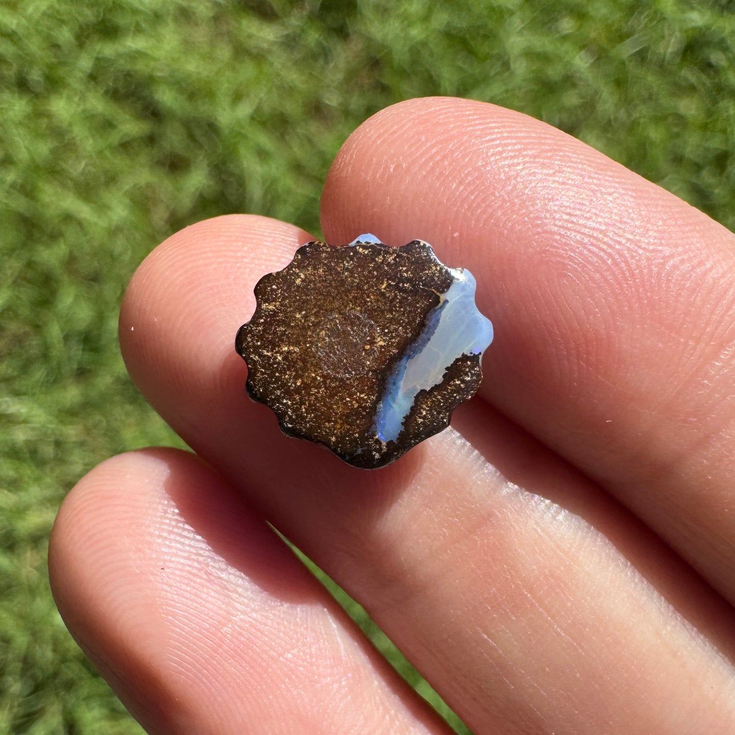 4.14 Ct small fan shell boulder opal carving