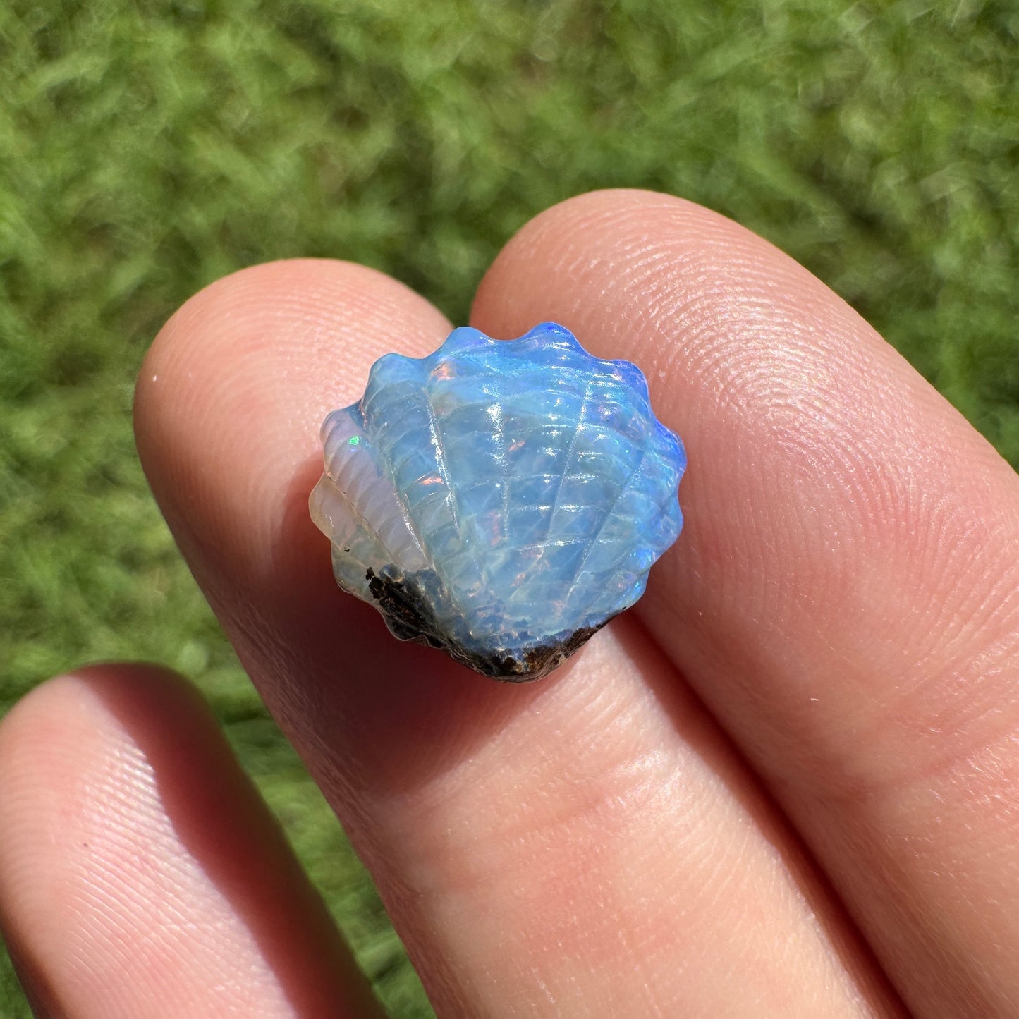 4.14 Ct small fan shell boulder opal carving
