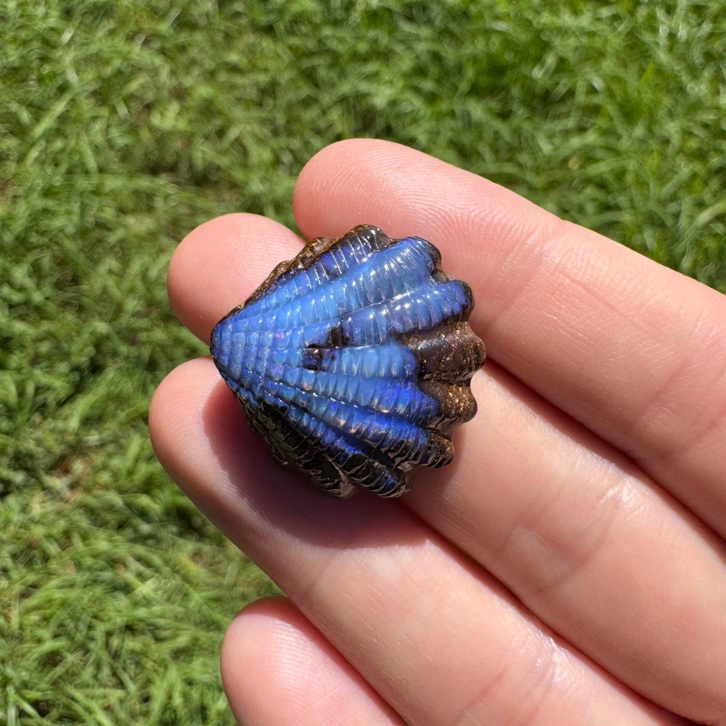 34.74 Ct fan shell boulder opal carving