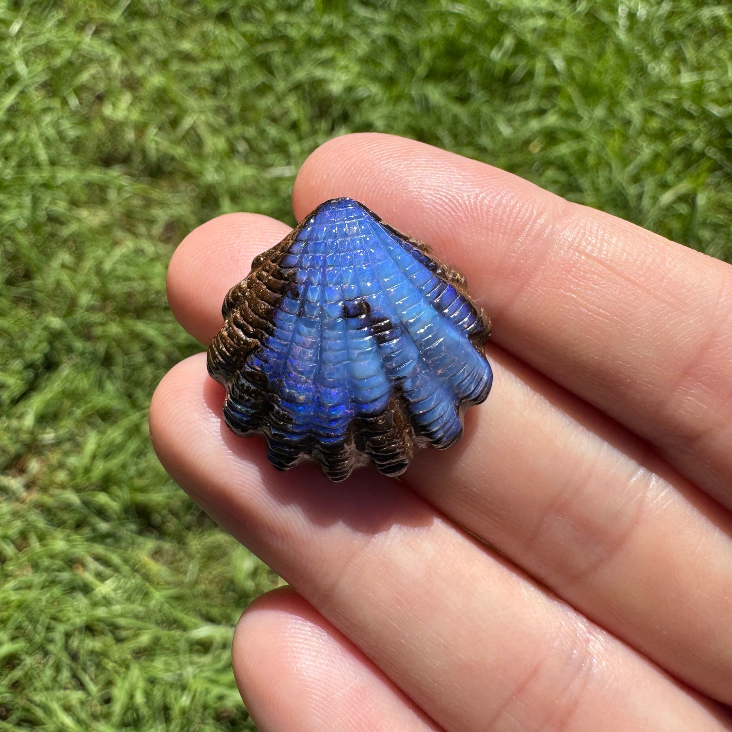 34.74 Ct fan shell boulder opal carving