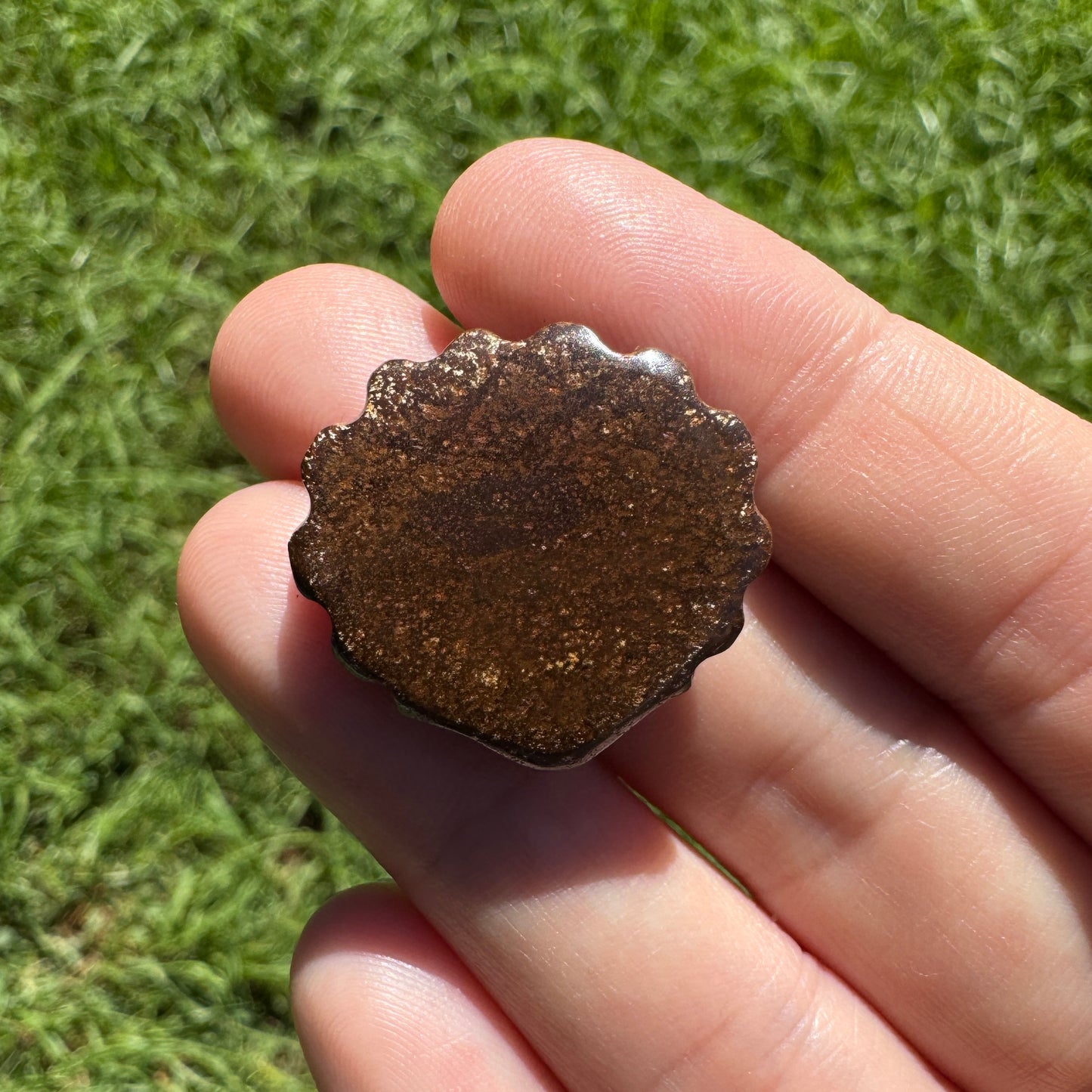 34.74 Ct fan shell boulder opal carving