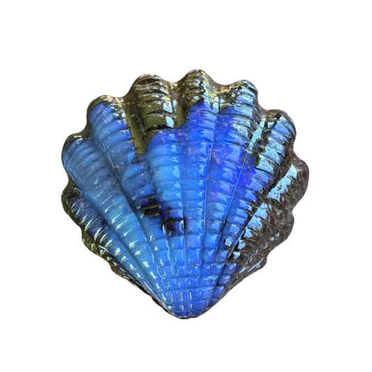 34.74 Ct fan shell boulder opal carving